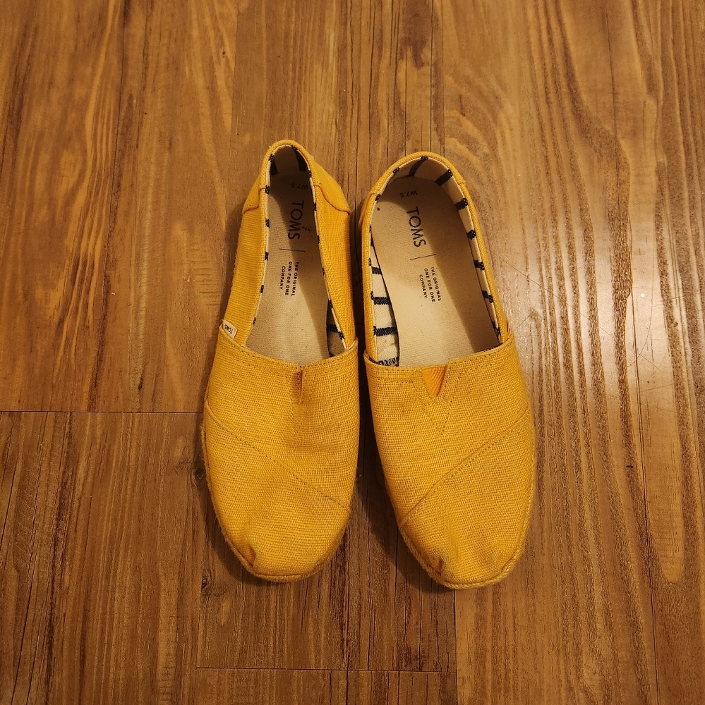 Well Loved Toms Alparagata Slip Ons